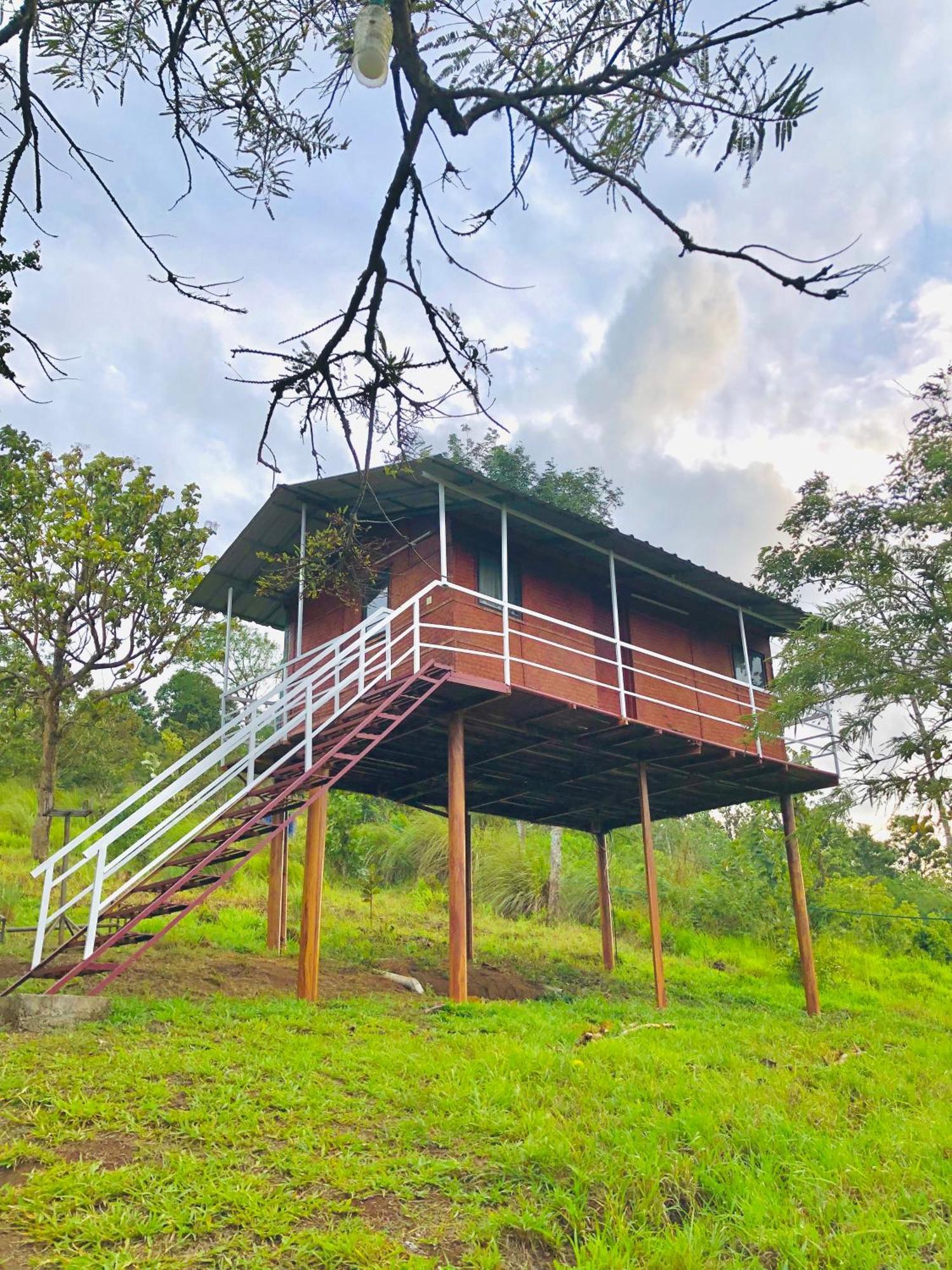 Punarjani Ayurvedic Resorts Ramakkalmedu Eksteriør bilde